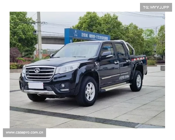 SUV化的皮卡 人民网试驾长城风骏6柴油版