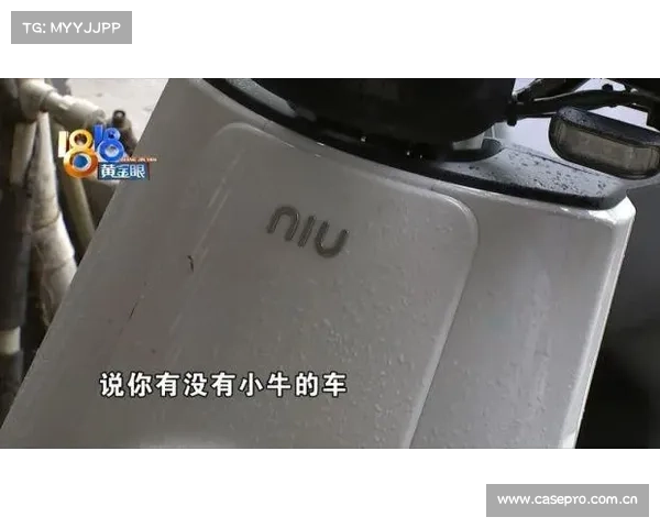 “小龟”感觉还行,“小牛”很是折腾 “小龟”感觉还行,“小牛”很是折腾